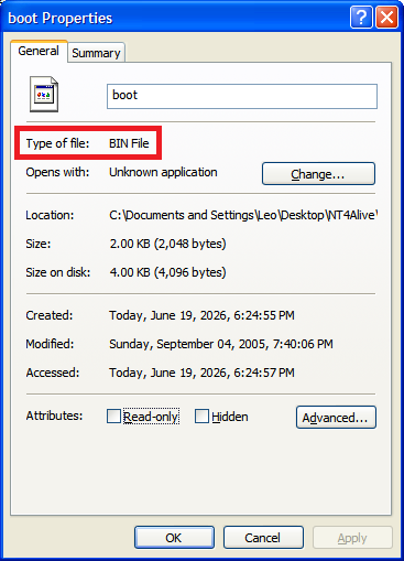 The “Properties” box of file boot.bin, showing the type of file as “BIN
File”